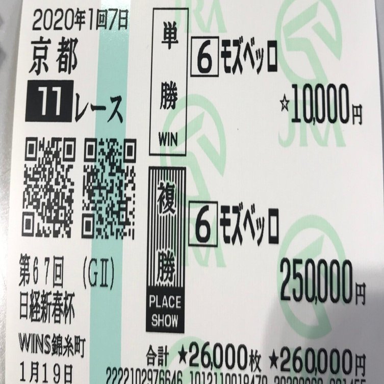 競馬講座｜馬券の考え方｜サイレンスキャット