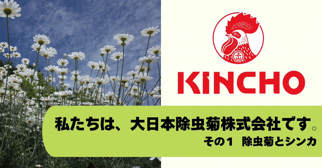 私たちは、大日本除虫菊株式会社 KINCHOです。～その1 除虫菊とシンカ