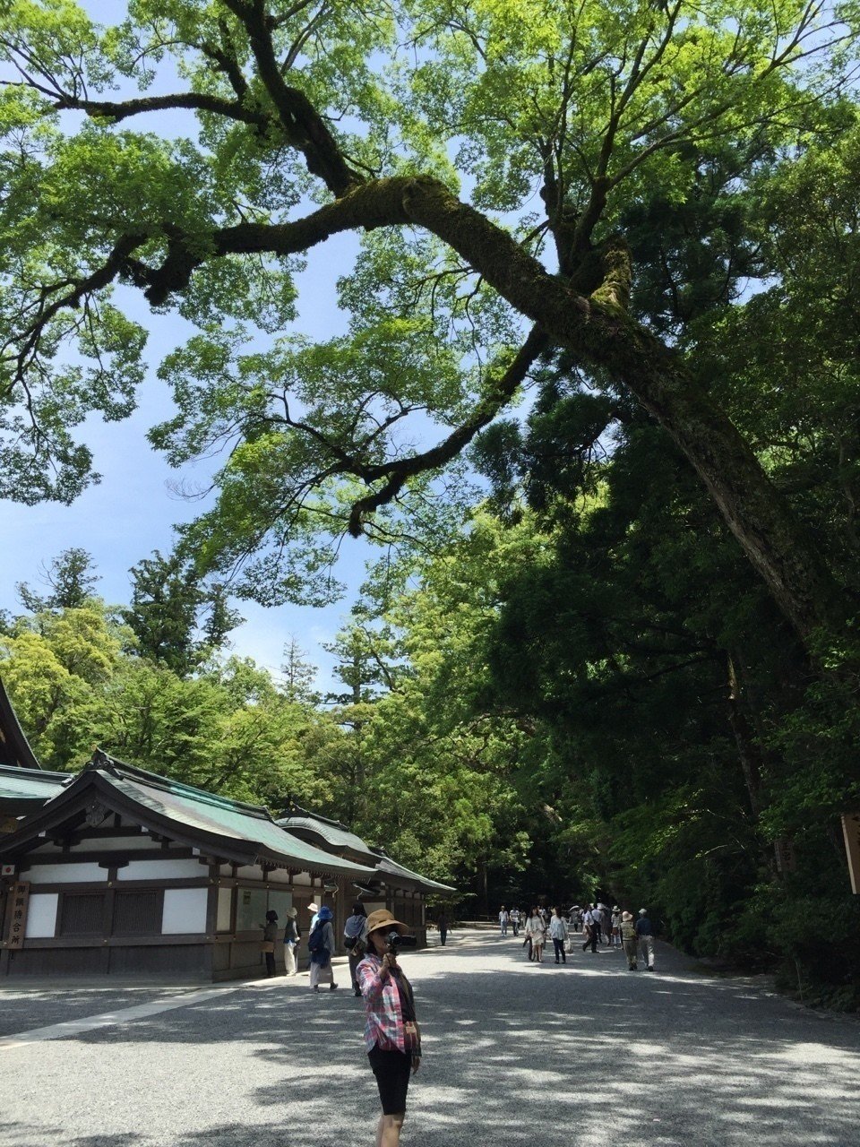 伊勢神宮参拝セミナー2012年12月ゆにわ塾北極流羽賀ヒカル