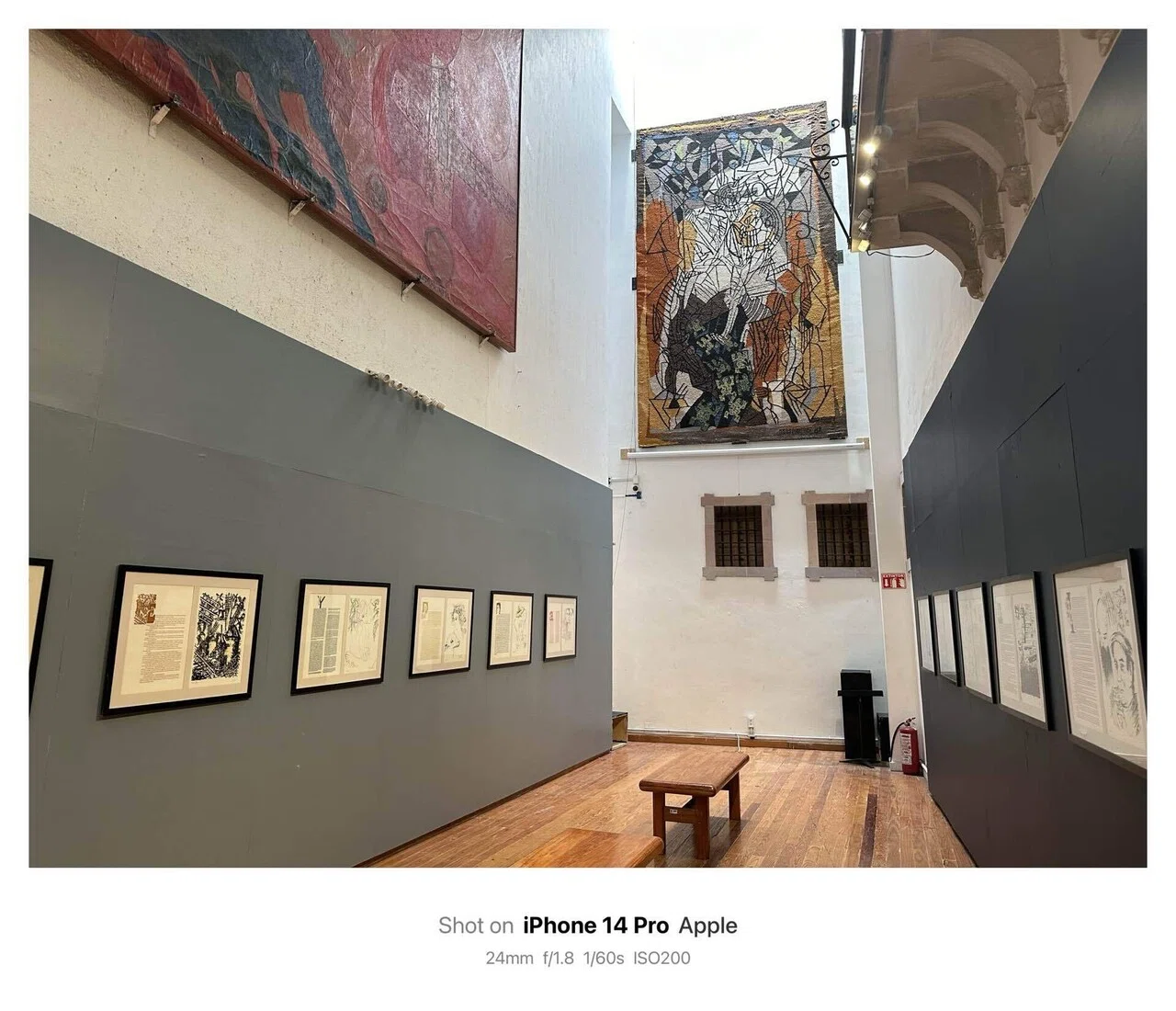 Museo Iconográfico del Quijote / ドンキホーテ肖像博物館(Guanajuato