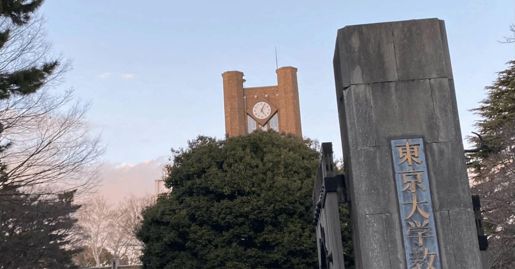 地頭限界東大生が進振りで勝つ方法(必修科目編前編)｜JunK@東大計数数理