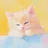 ねこえ
