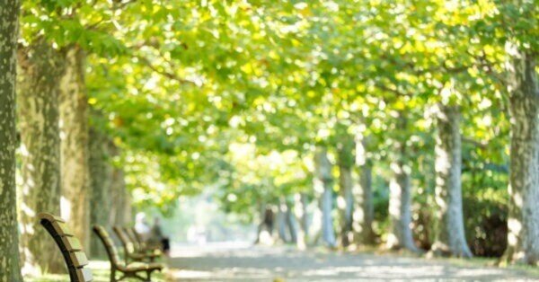 vol.43 生徒の人生に自分がいる【伝説のピアノ指導者の教え】｜藤拓弘