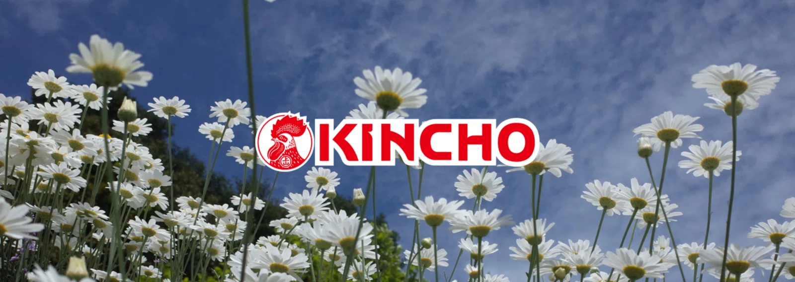 KINCHO 大日本除虫菊株式会社｜note