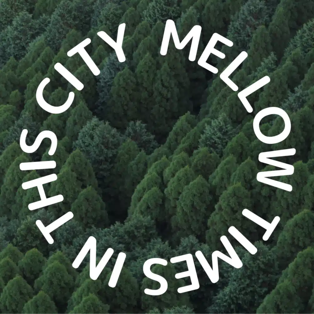MELLOW TIMES IN THIS CITY (Hiroshi Shimada)