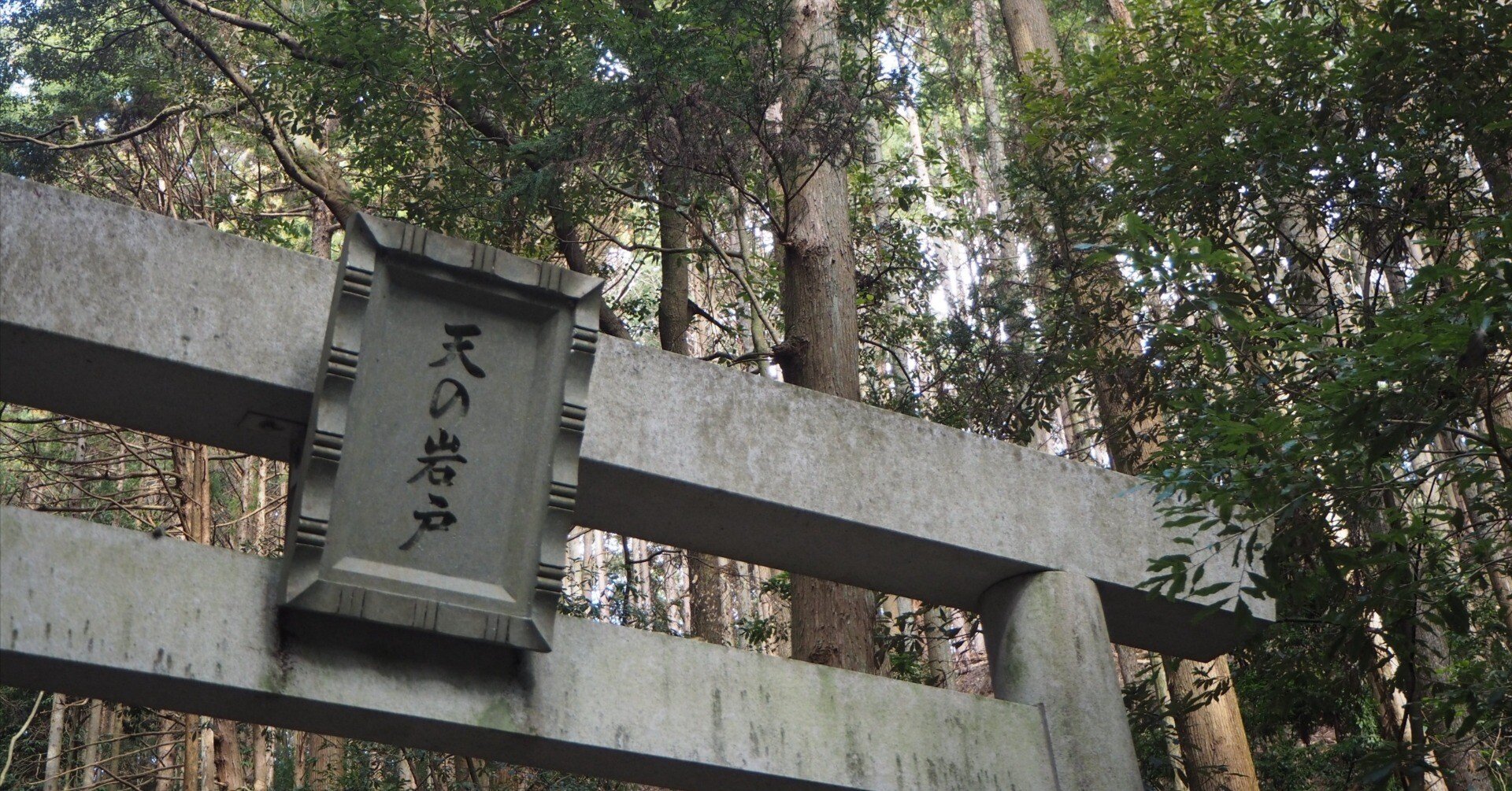 52b85af7b692d2c9cc678184aa008d