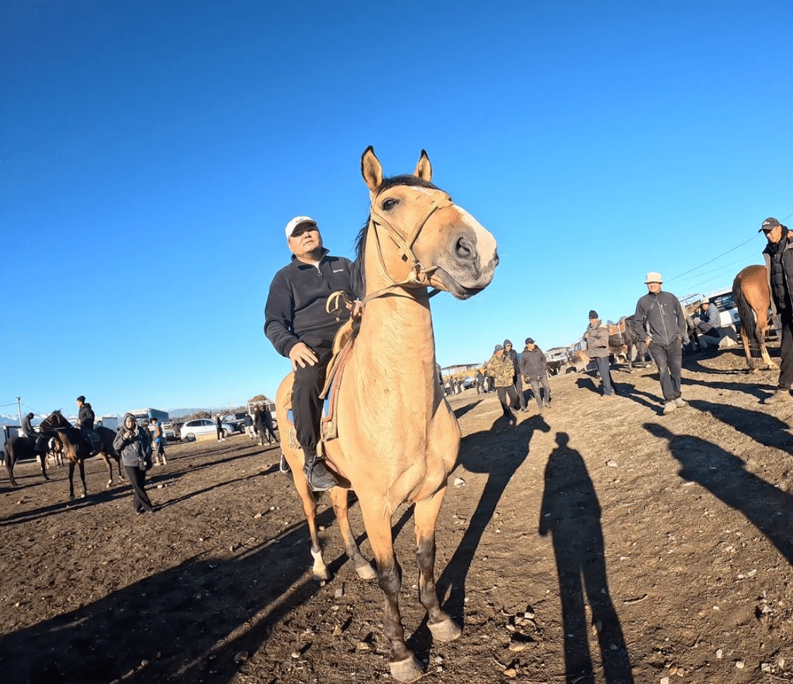 78 カラコル・アニマルマーケット｜Nana del Mundo 世界旅