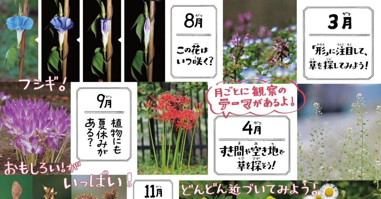 rectangle_large_type_2_8d201eb