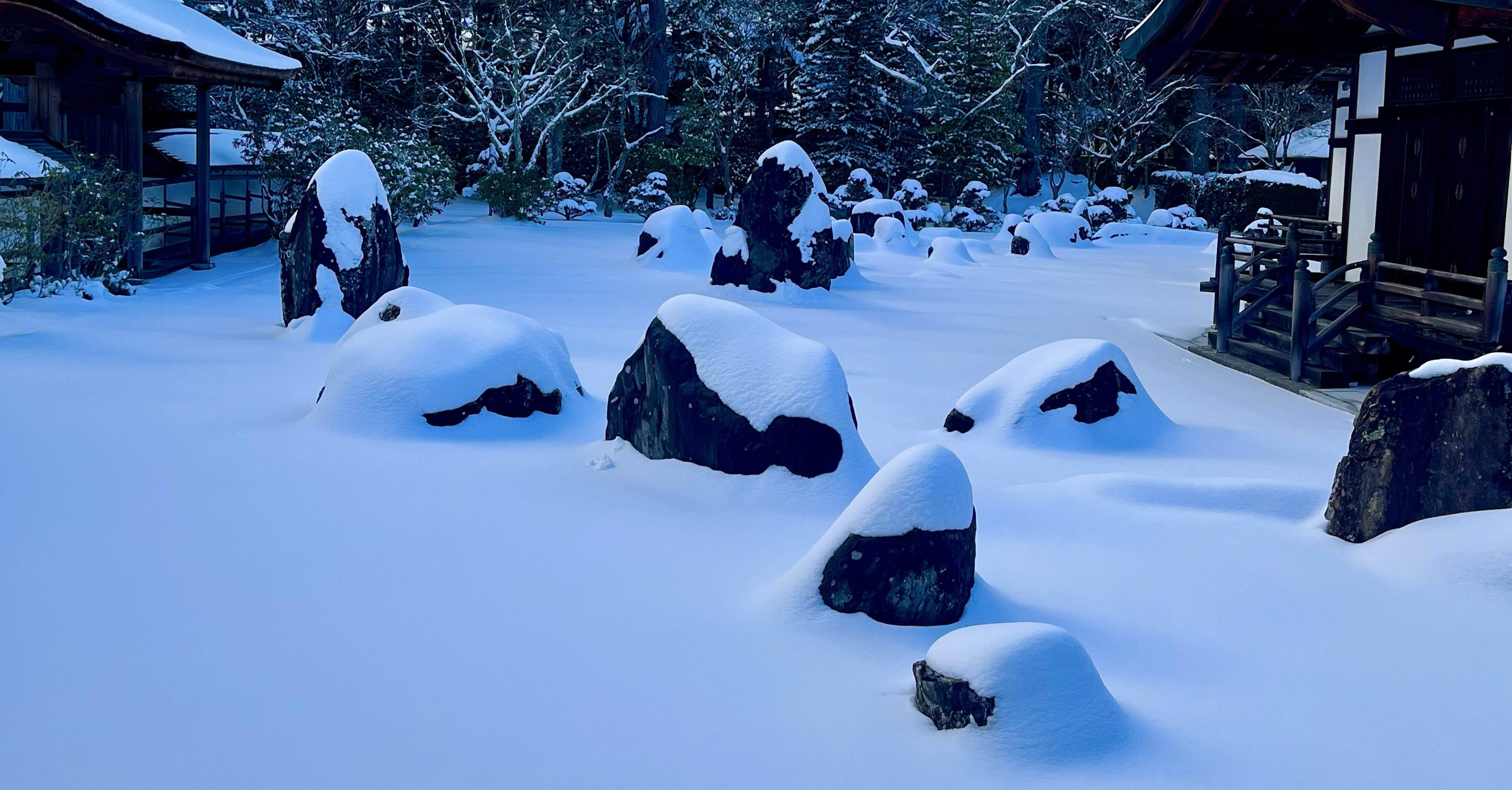 旅行】高野山・九度山｜KOPEN｜日本各地の歴史旅