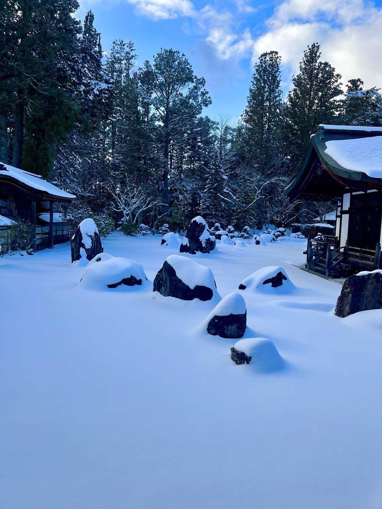 旅行】高野山・九度山｜KOPEN｜日本各地の歴史旅