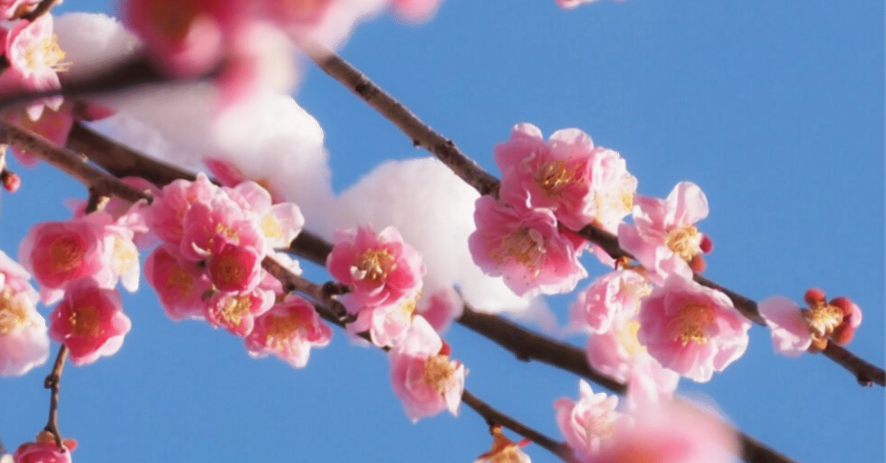 【俳句の強化中】二月十四日の俳句(六句)