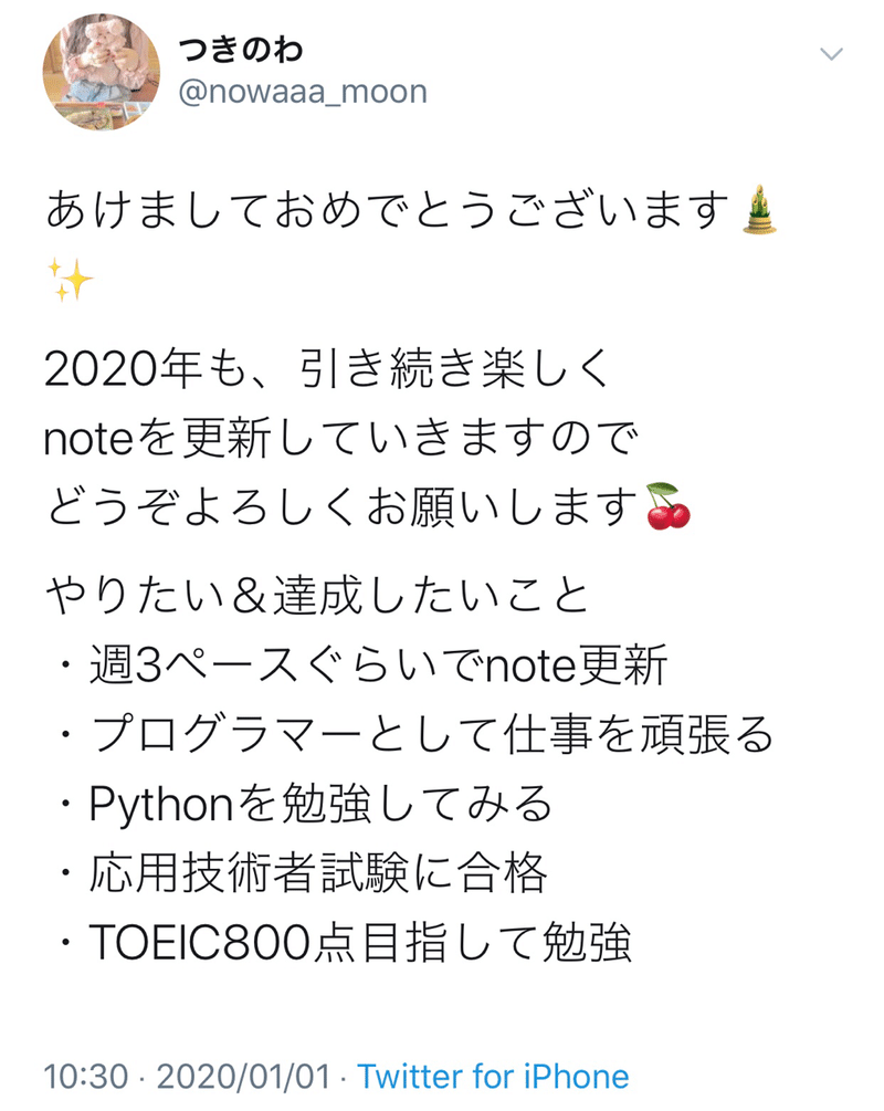 新年に目標を立てるときのコツ 年に挑戦したいこと つきのわ Note