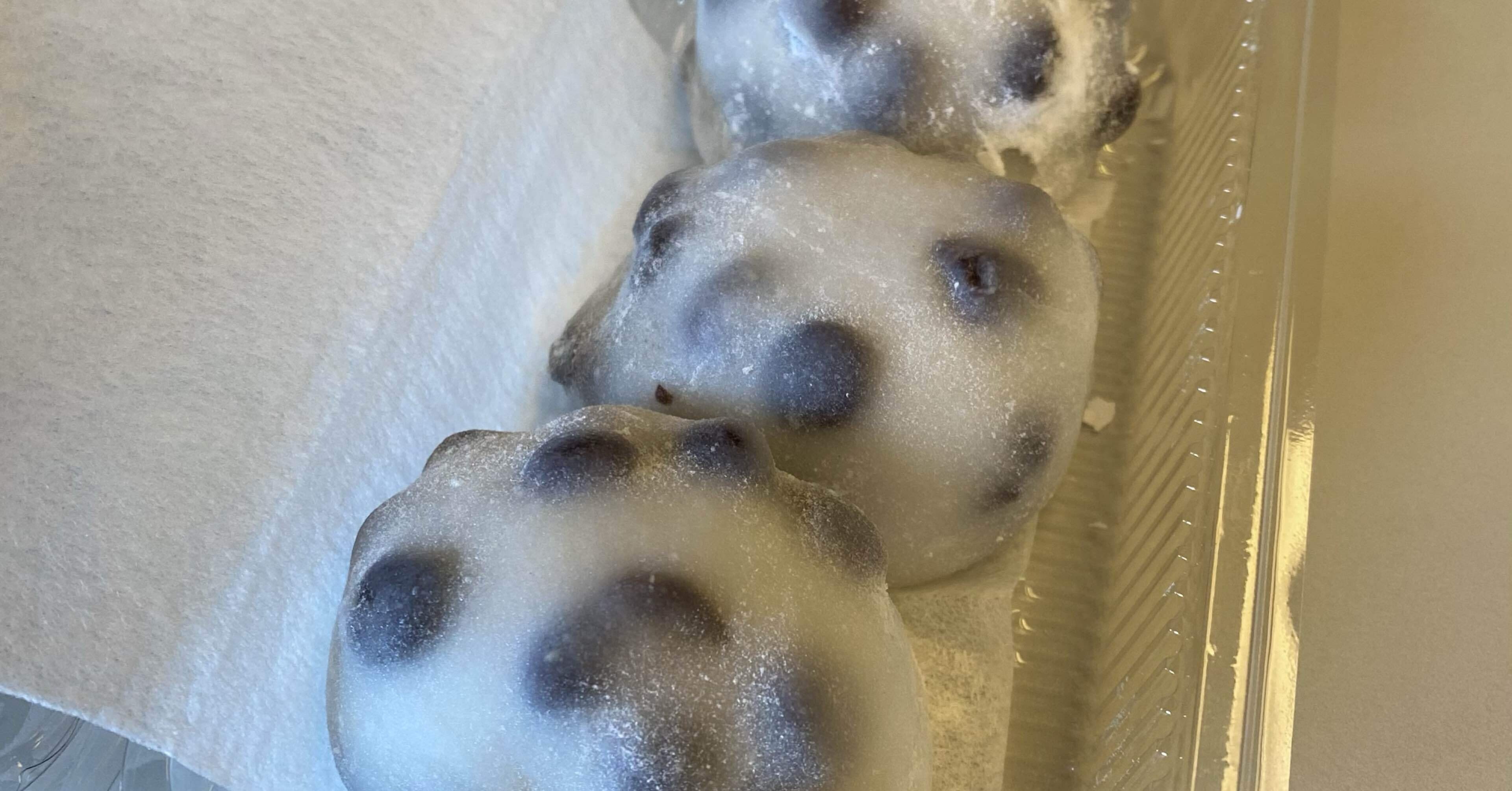 2715f493fe01e4db1c1f9189bf4427