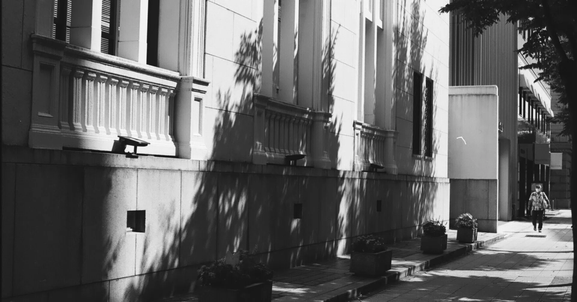 2024年10本目 Kodak T-MAX 400｜Shogo Hagiwara