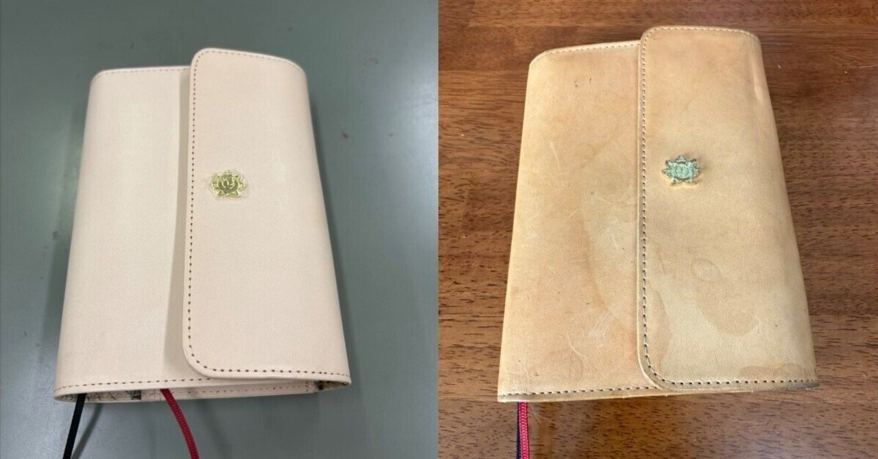 ほぼ日手帳カバーONE PIECE Thousand Sunny LOGBOOKの成長｜with Bacchus