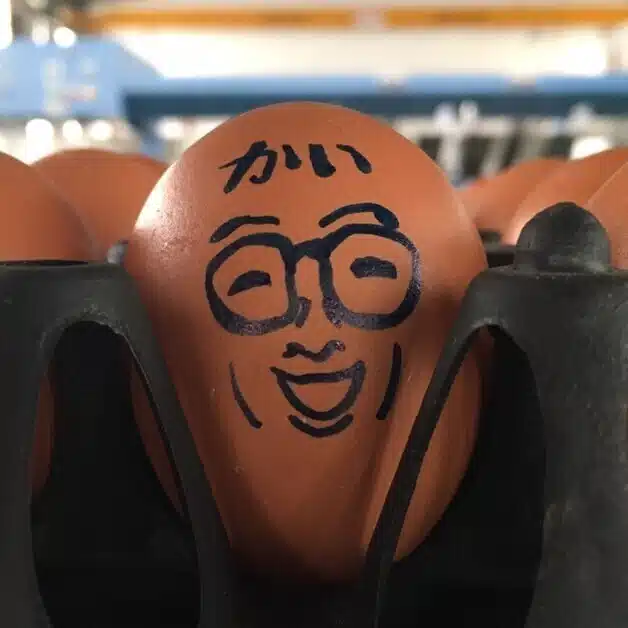 かい