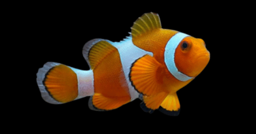 14d032cb0a1efbccd3a7f315eae2d2