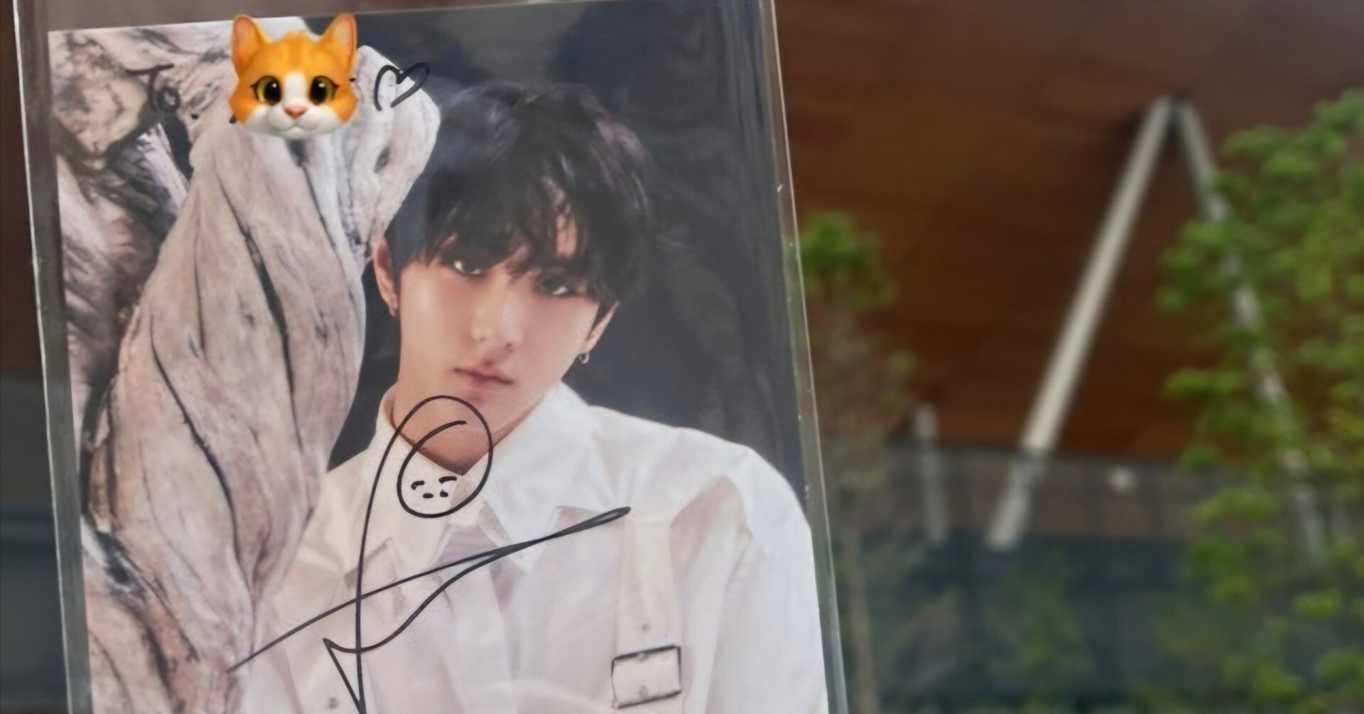 267d8072f63a86831a9116448e5443