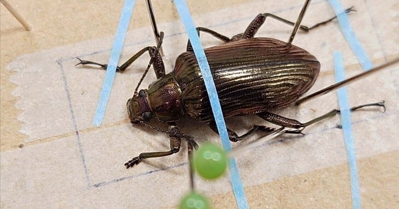 rectangle_large_type_2_04be8f2