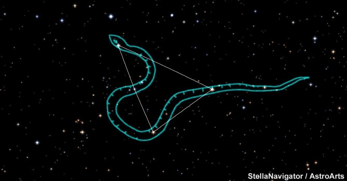 蛇座さま専用です。 星座夜話 71/88 みずへび座】｜ほーんら