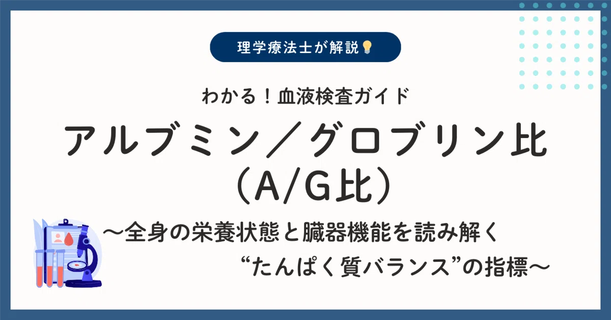 わかる!血液検査ガイド:アルブミン/グロブリン比(A/G比)の数値徹底解説|はじめてのカルテ