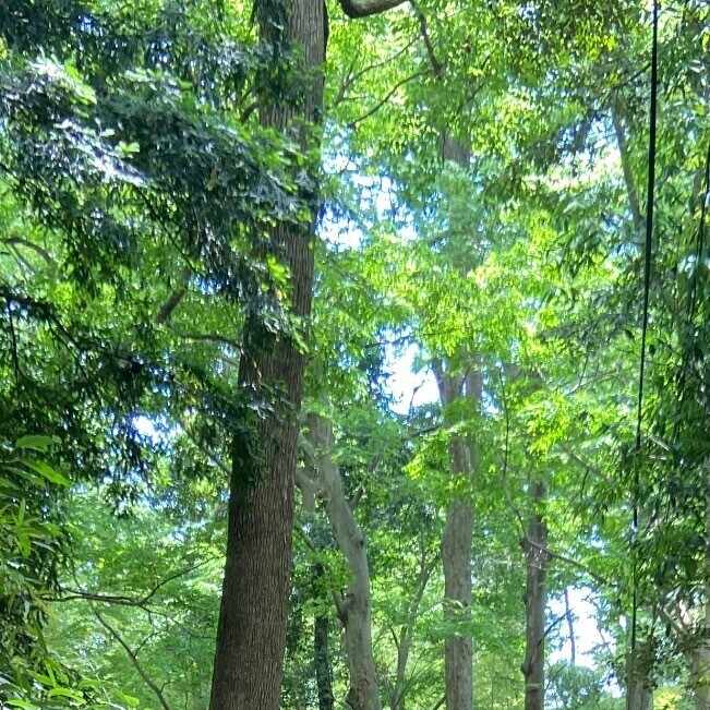 Eight & Bob アニック5 の感想｜yuri