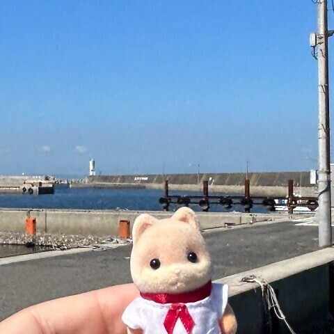 アンビシャスは救済だったのか、それとも切り札だったのか(続)｜きま