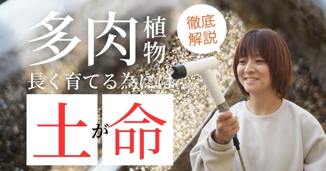 多肉植物】我が家の土の配合は水捌け重視で作ってます！｜あや|山の中