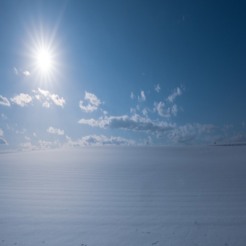 X-T5】雪景色を撮る 2025 雪景色には王道のフイルムシミュレーション