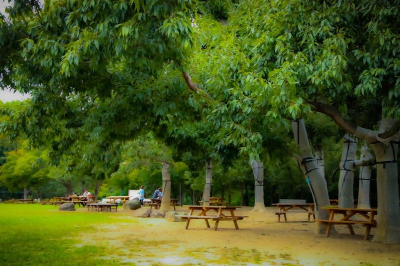 誰でも知ってる 大阪市内からアクセスのよい写真撮影スポット１０選 とんぬら 写真マニア Note