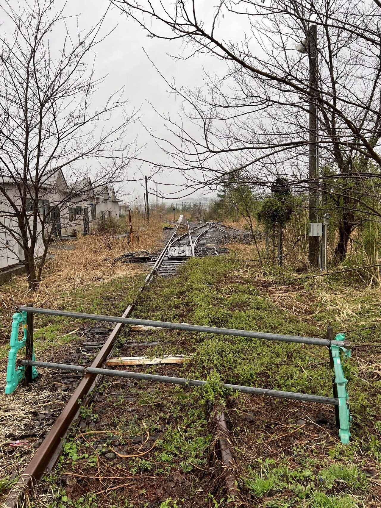 乗車記録#4】奥羽本線〜青森に桜を見に行く旅。｜f