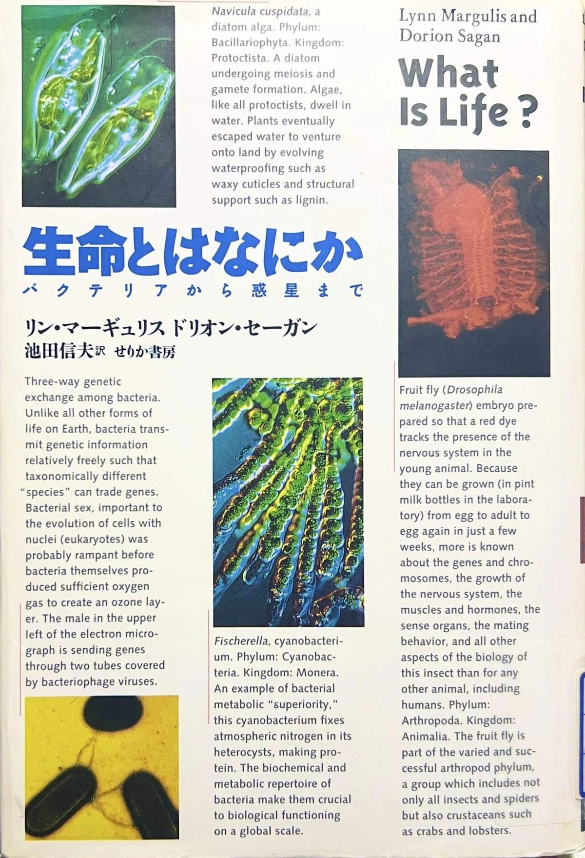 読書メモ: 生命とはなにか: バクテリアから惑星までby リン 