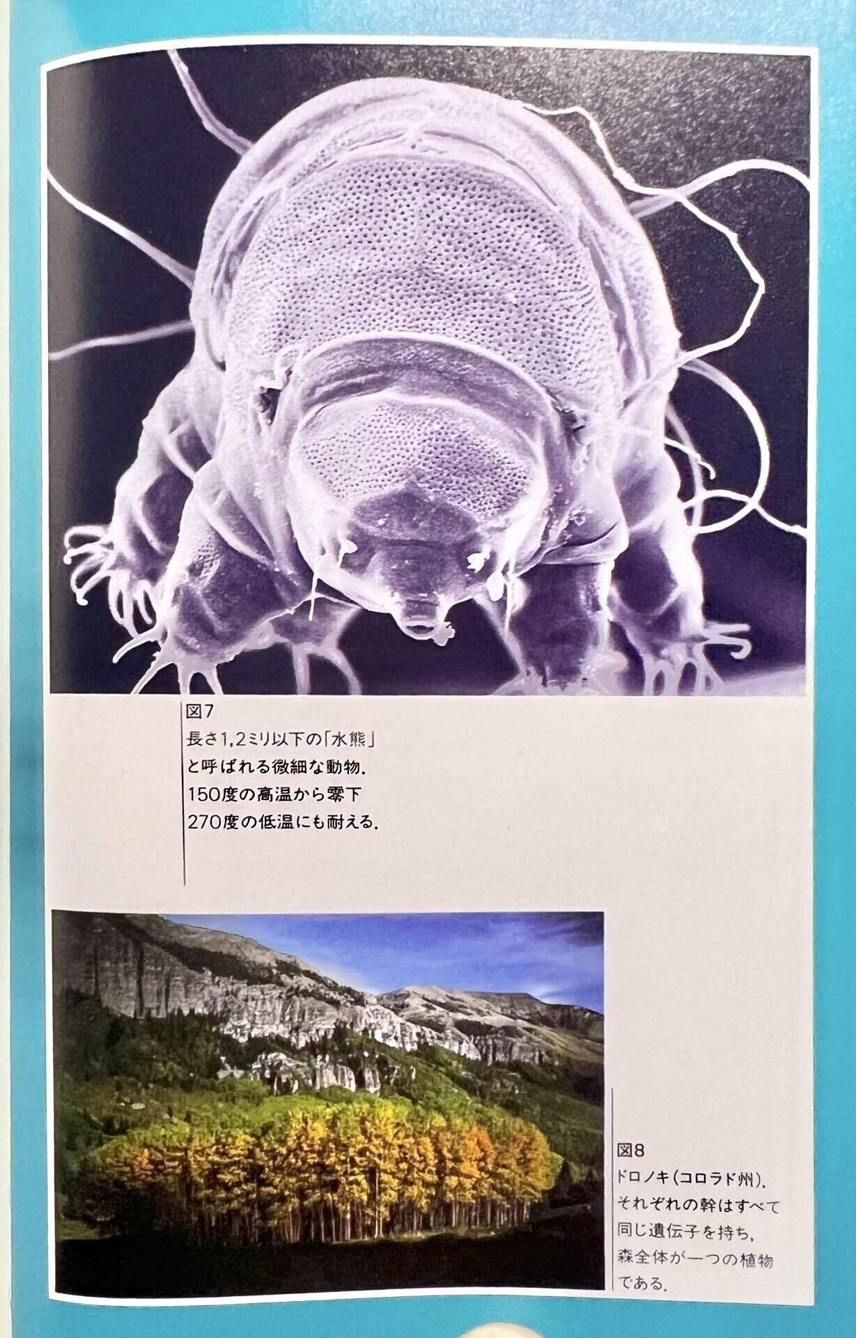 読書メモ: 生命とはなにか: バクテリアから惑星までby リン
