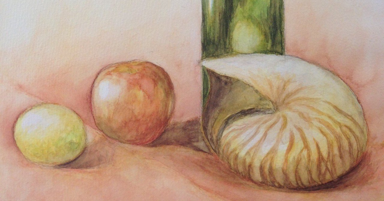 2012/01/08〜02/12 静物 オウム貝 水彩｜ほしさきひとみ