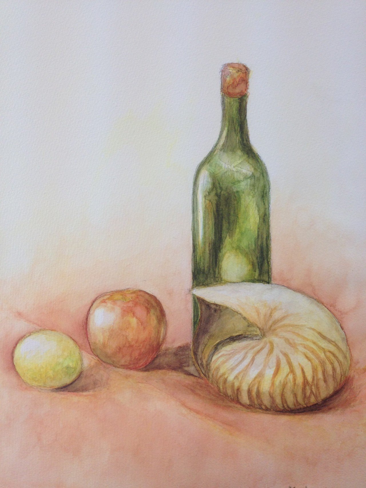 水彩画 壺と貝殻の作品 水彩画 壺と貝殻の作品
