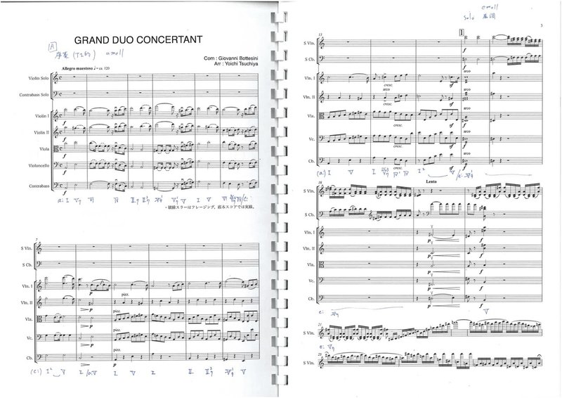 ジョヴァンニ・ボッテジーニ_ Giovanni Bottesini _ Duo Concertante S5アレンジ