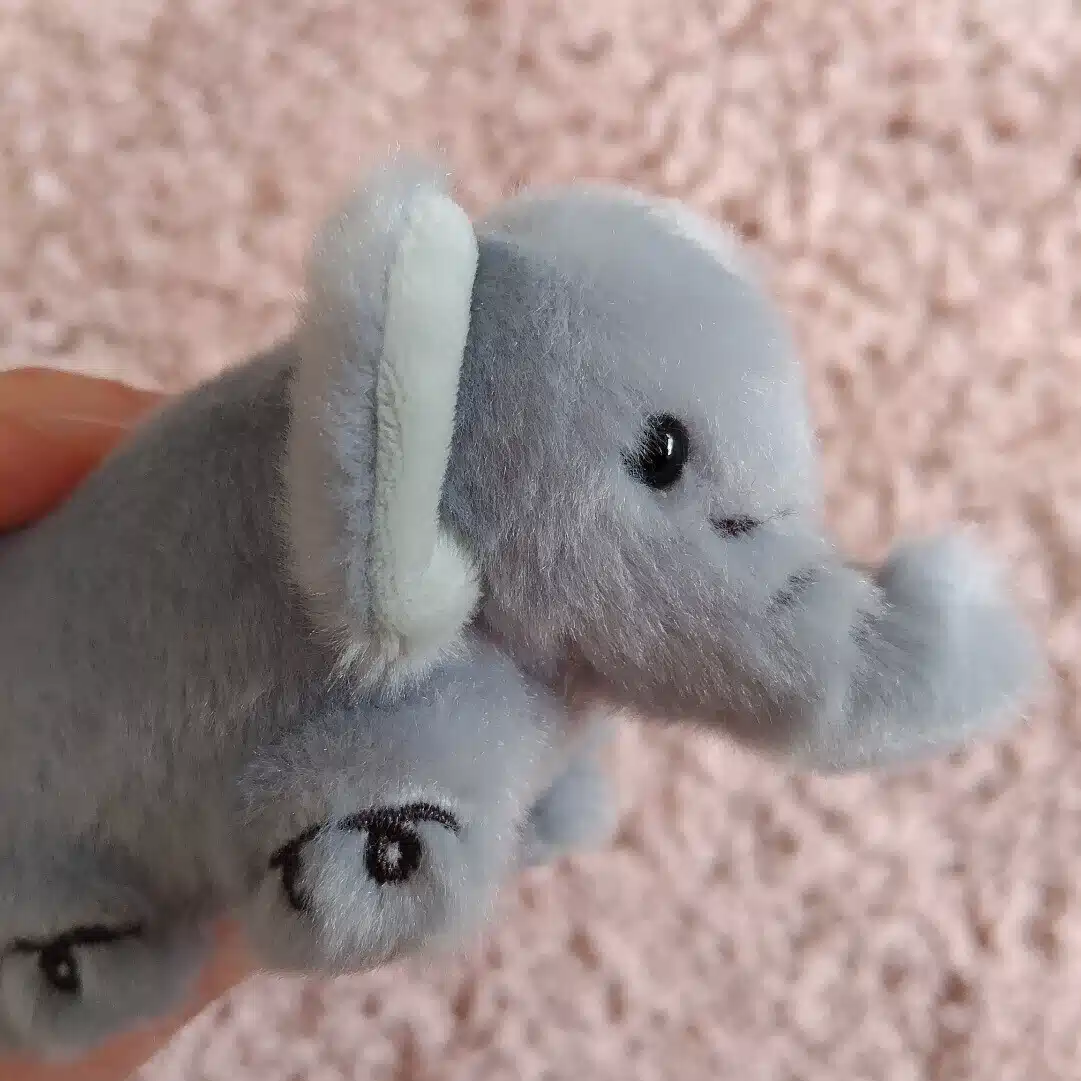 こらん