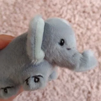 こらん