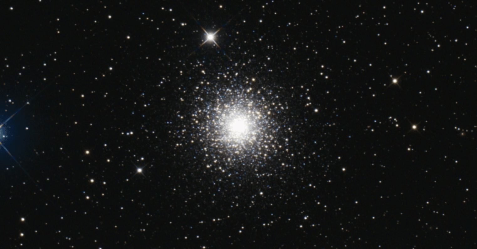 シャクティマットレベル3をいきなり購入した話｜柑橘類