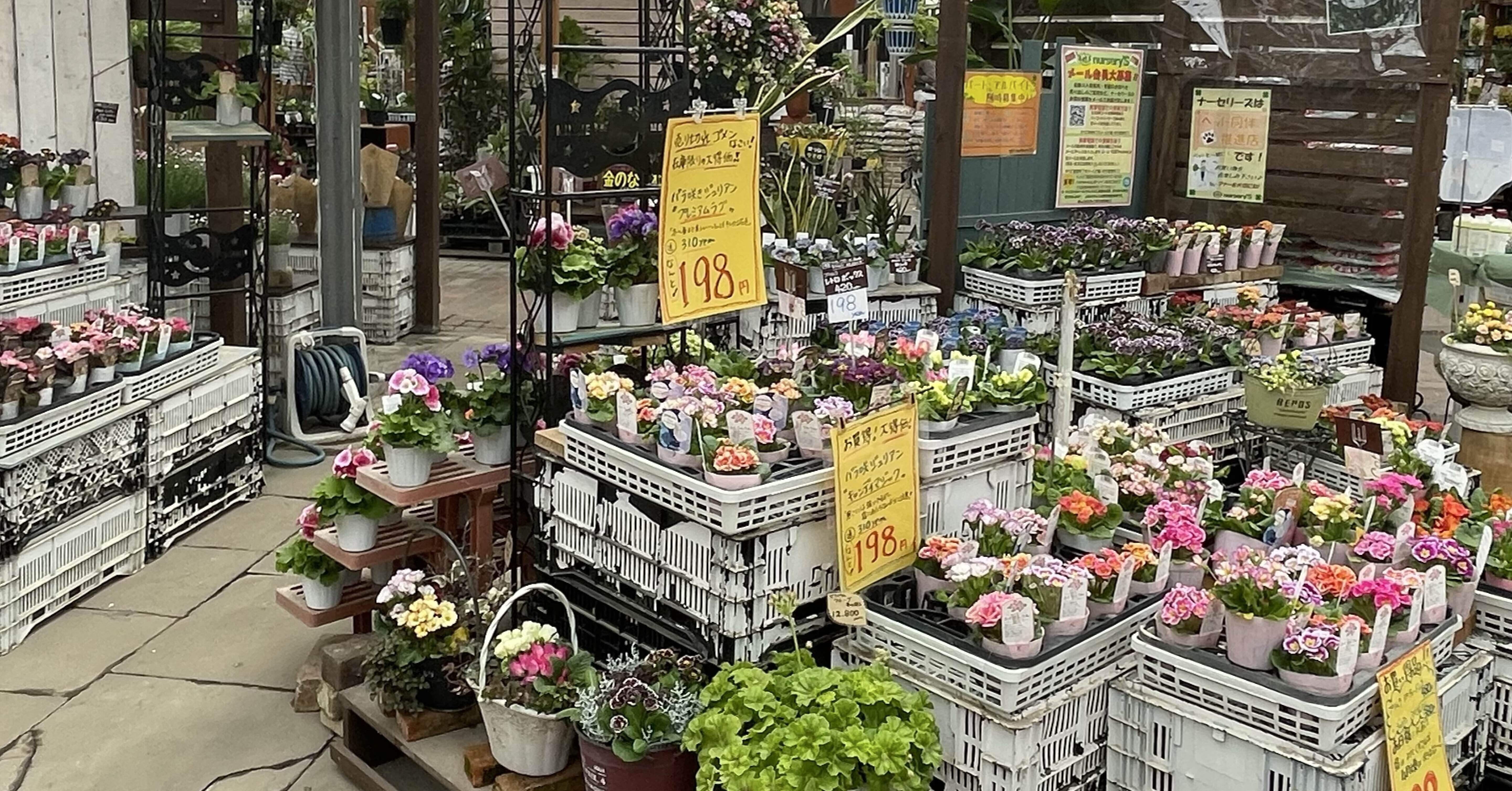 0df9d833942661c2f431bea385b522