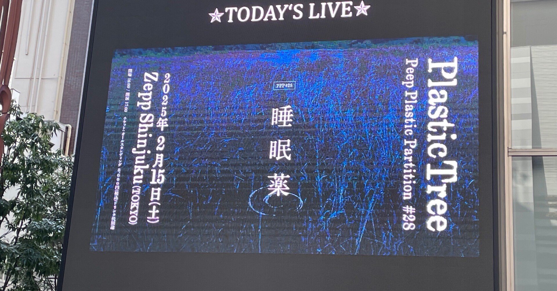 Plastic Tree｢Peep Plastic Partition #28 睡眠薬｣@Zepp Shinjuku｜きり