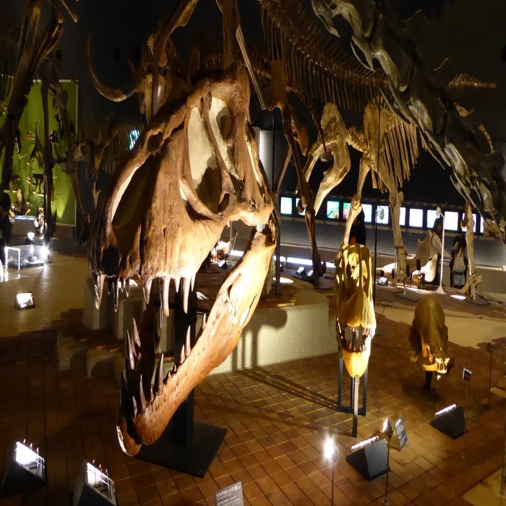 【貴重書】生き物を描く　サイエンスのための精密描画　生命の星地球博物館展示解説書 生き物を描く ～サイエンスのための細密描画～ | 神奈川県立生命の星
