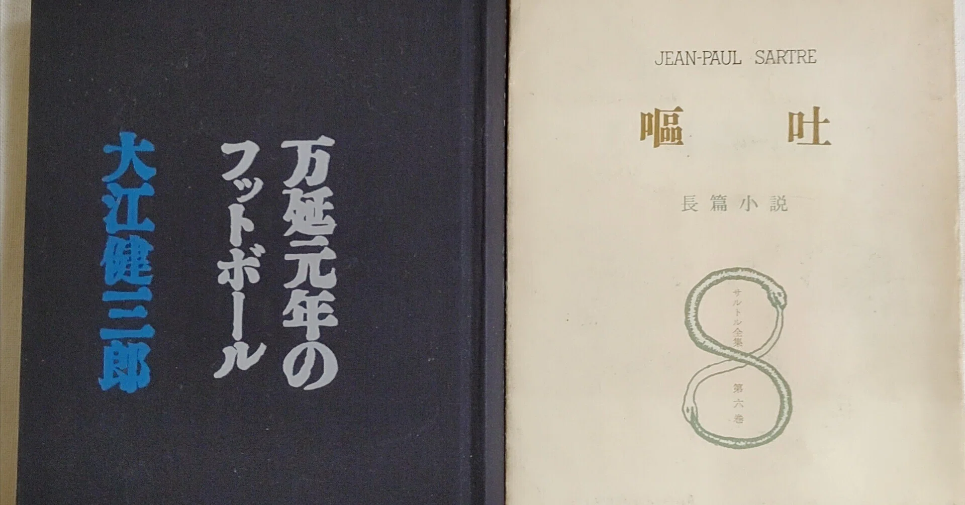 大江健三郎『万延元年のフットボール』を読む｜さるお