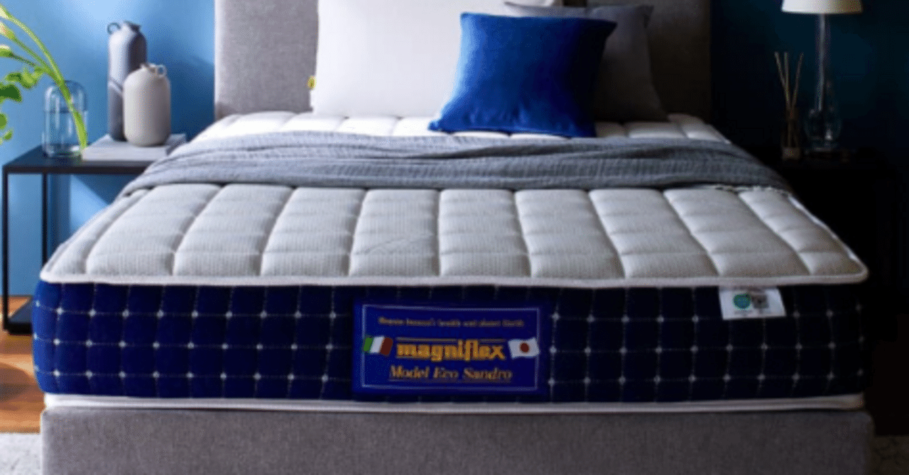 日本上陸30周年記念】エコサンドロ｜ふかふか店主