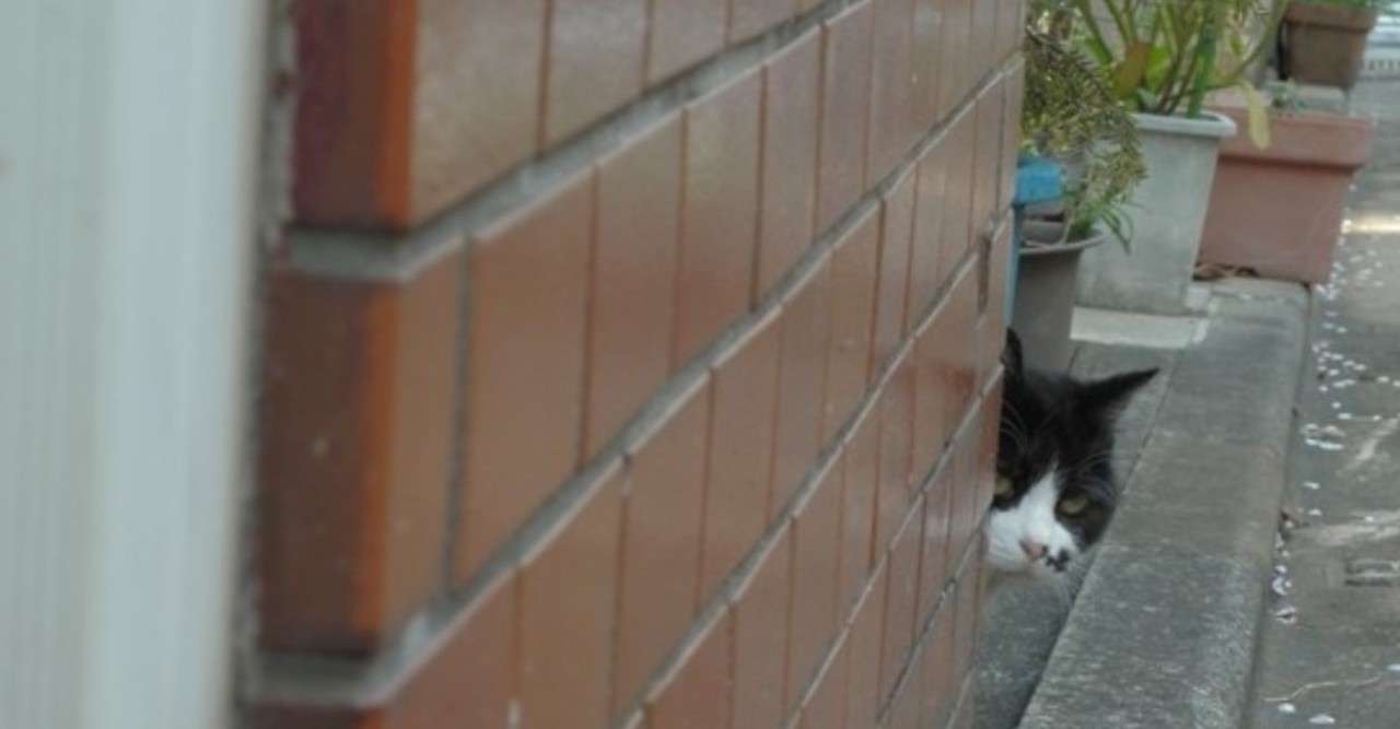 本の感想11 緋色の研究 シャーロック ホームズ れーん Note