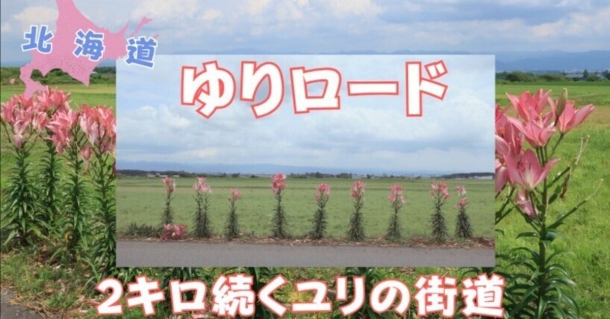 北海道【ゆりロード】2kmつづくユリの街道　月形町