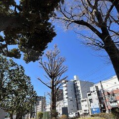 間違っていたから何だというのか／吉見俊哉『東京裏返し−−社会学的街