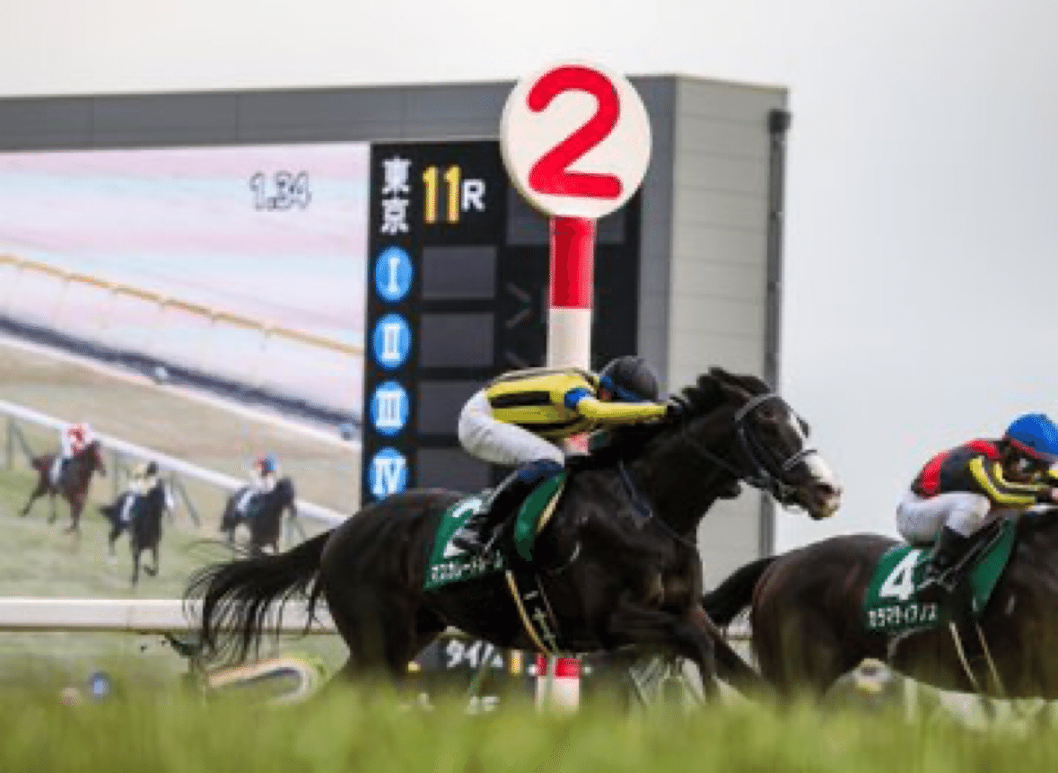 共同通信杯レース後コメント｜ゆぅん楽しい競馬クラブ