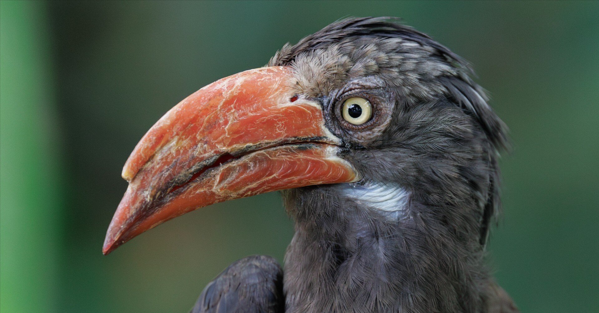 e76f1babd782210c5a86e0a4c55f8a