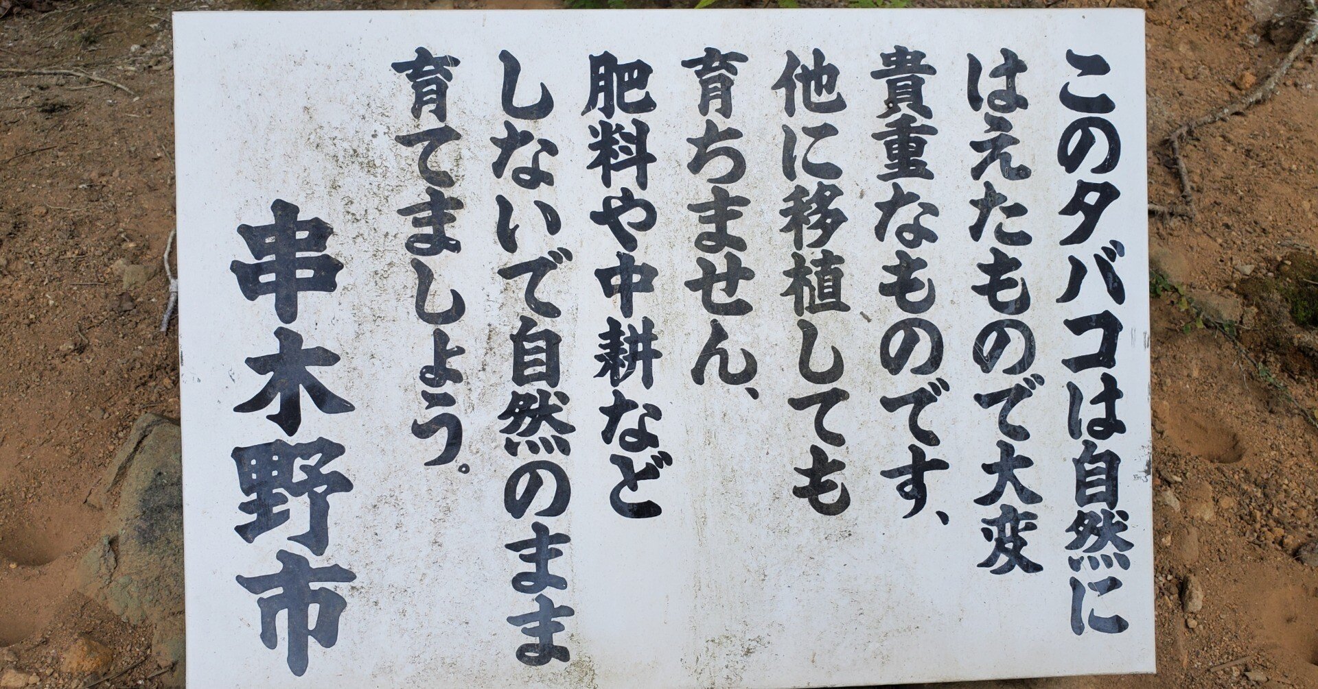 強すぎる薩摩のキセル｜岩浪陸